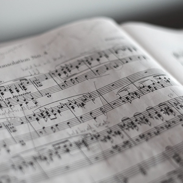 Article | “Dark Horses, Joyful Noises, and the Building Blocks of Musical Expression”